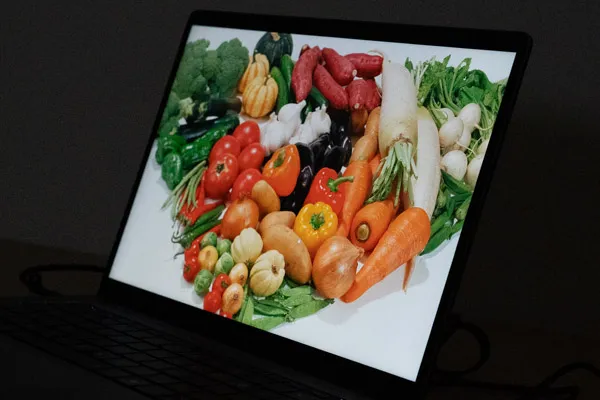 ASUS ExpertBook P3の視野角