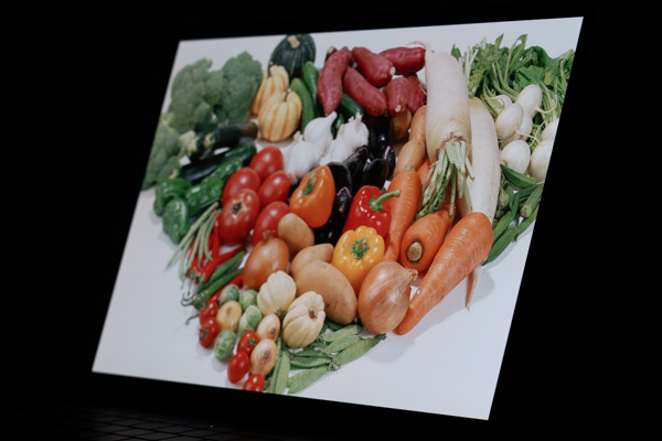 HP OmniBook Ultra Flip 14-fhの視野角