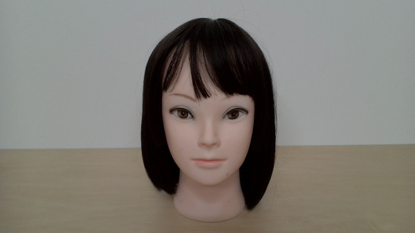 Webカメラで撮影した画像