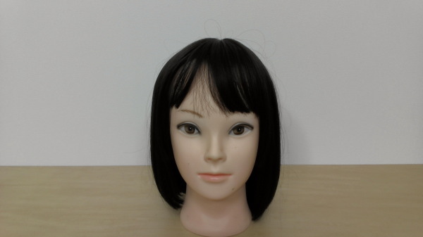 Webカメラで撮影した画像