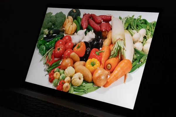 HP OmniBook 5 16-afの視野角