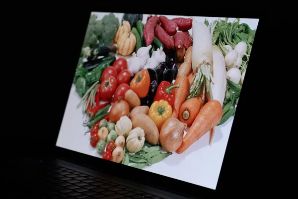 IdeaPad Pro 5 Gen 10(16型 AMD)の視野角