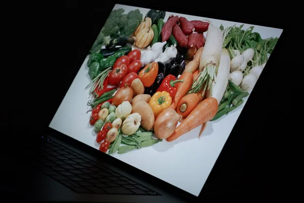 ThinkPad X9 15 Gen 1 Aura Editionの視野角