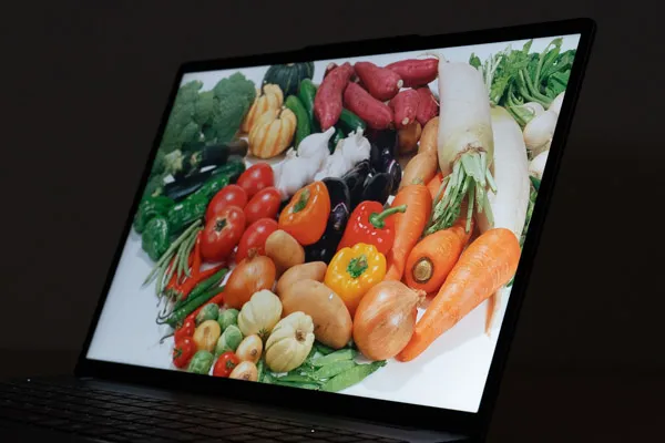 Lenovo IdeaPad Slim 3 Gen 10 (15.3型 AMD)の視野角