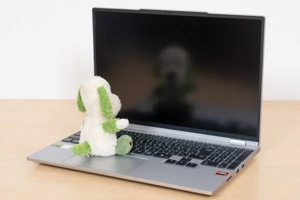 DAIV S5-A7G60SR-Aの映り込み