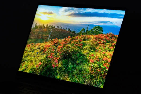 DAIV Z4-I7I01SR-Bの視野角