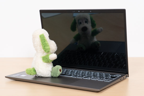 画面への人形の映り込み具合