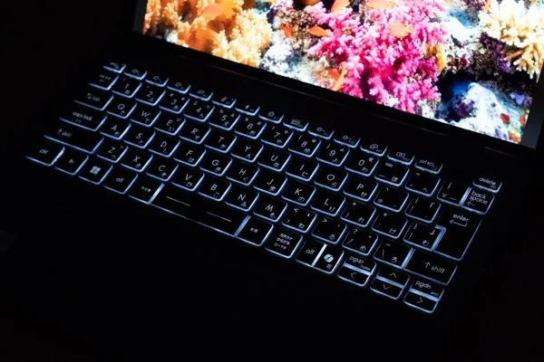 バックライト画像