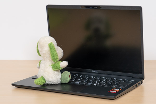 LAVIE Direct N14 Slimの映り込み