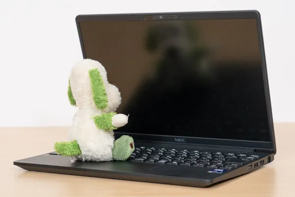 LAVIE Direct NEXTREMEの映り込み