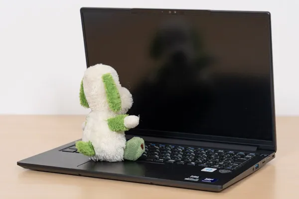 iiyama PC SENSE-14FHX31-UX7-URSXの映り込み