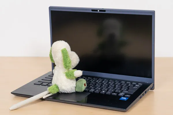 Dell 15の映り込み