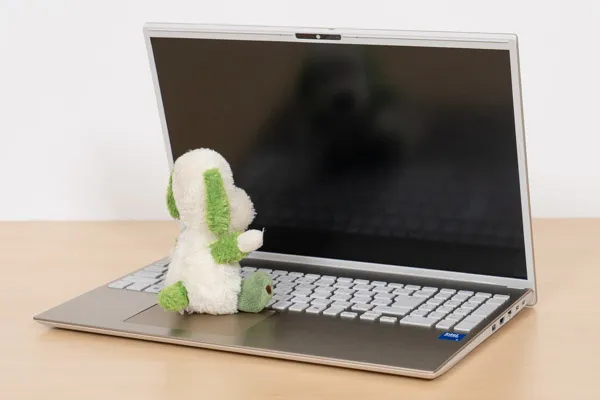 Dell 15の映り込み
