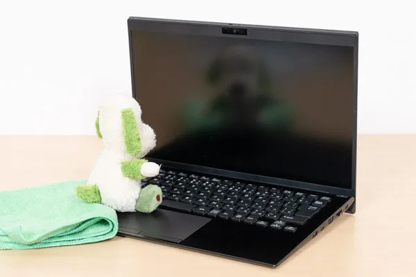 Reborn VAIOの映り込み